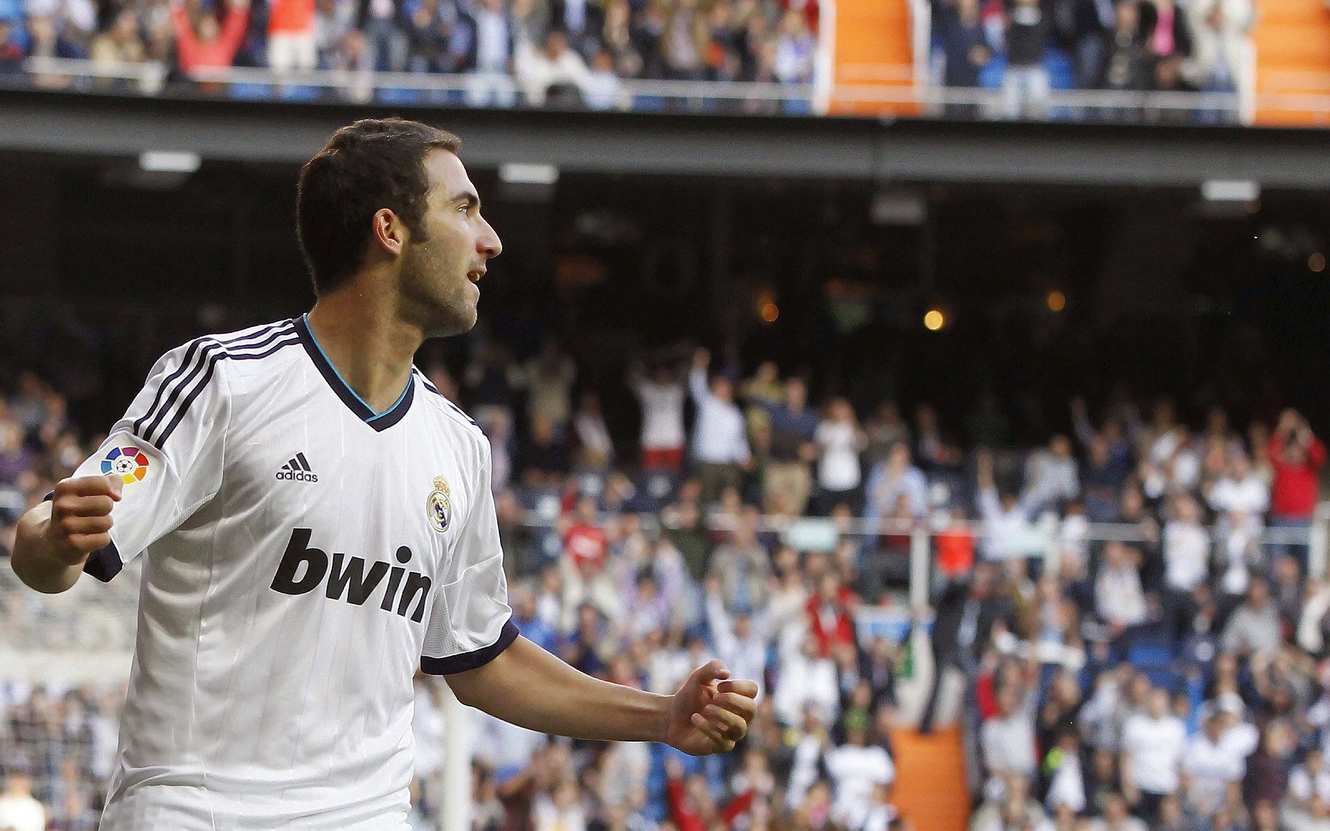 开云体育APP下载-美加墨世界杯焦点战，牙买加雷鬼节奏如何压制法兰西马赛回旋